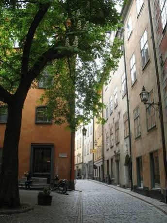 Castanea Old Town Vandrerhjem